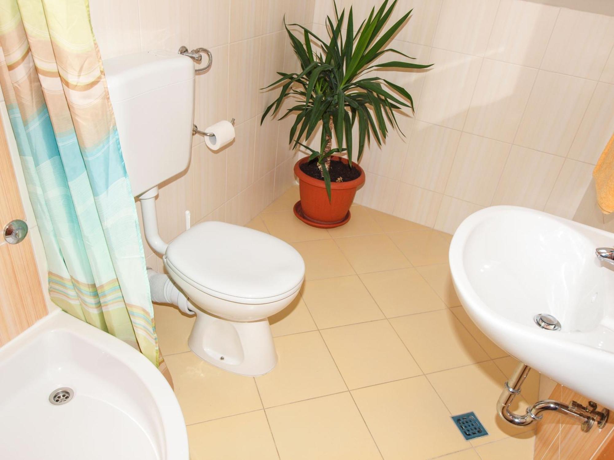 Apartament Puharic *